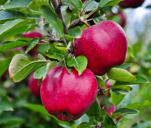 pull behind sprayers