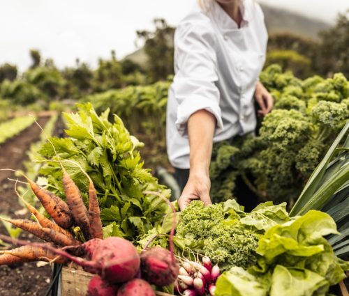 tractor mounted sprayers