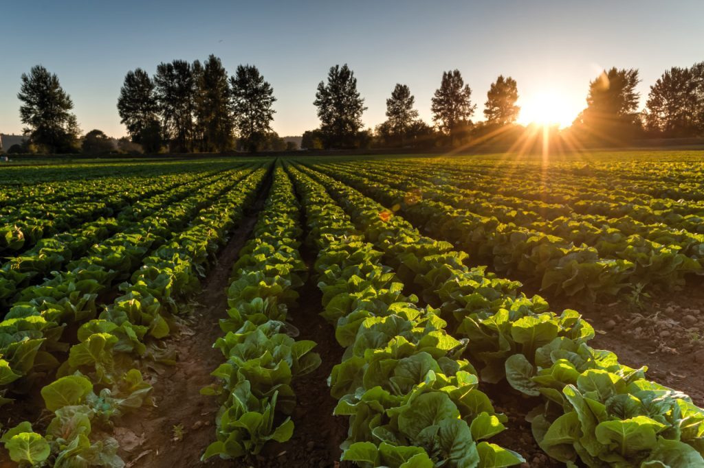 agricultural sprayers