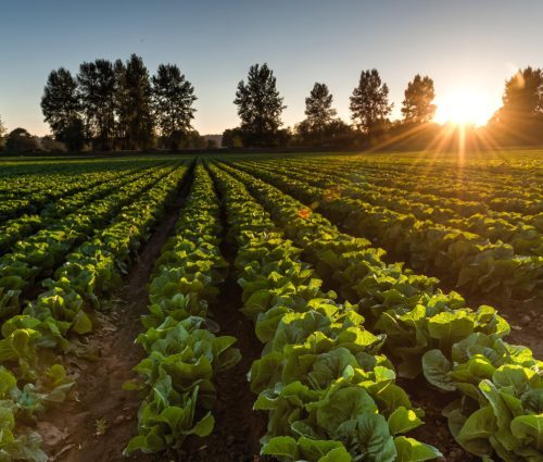 agricultural sprayers