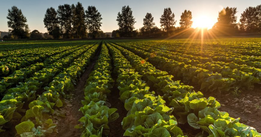 agricultural sprayers